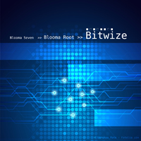 Bitwize --- 2013